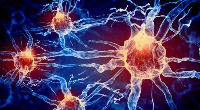 Uzun KOVİD ve ME/CFS’nin Tüm Semptomlarına Ne Sebep Olur? Beyin Sapı Anahtar Olabilir