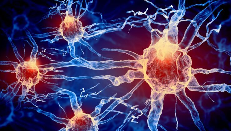 Uzun KOVİD ve ME/CFS’nin Tüm Semptomlarına Ne Sebep Olur? Beyin Sapı Anahtar Olabilir