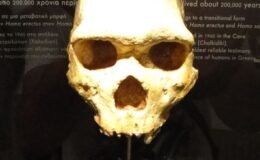 Bu Gizemli Kafatası 300.000 Yıl Boyunca Bir Mağara Duvarında Saklı Kaldıktan Sonra Bilim Adamlarını Şaşkınlaştırdı