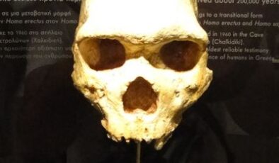 Bu Gizemli Kafatası 300.000 Yıl Boyunca Bir Mağara Duvarında Saklı Kaldıktan Sonra Bilim Adamlarını Şaşkınlaştırdı