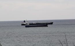 Yük gemileri Sinop’un doğal limanına demirledi