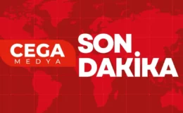 Amedspor’da son dakika gelişmesi; son transfer yapıldı