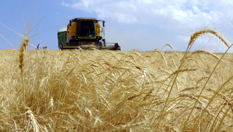 Tarım ÜFE ocakta aylık bazda arttı