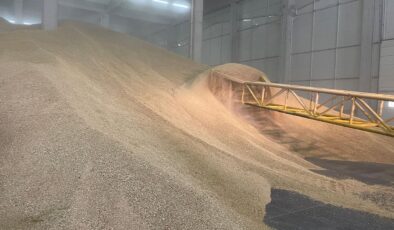 TMO, stoklarındaki buğdayı satışa sundu