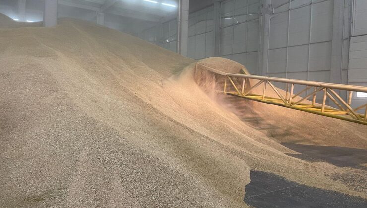 TMO, stoklarındaki buğdayı satışa sundu