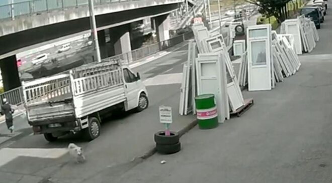 Köpekten kaçarken otobüs çarptı