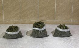 Diyarbakır'da narkotik operasyonları