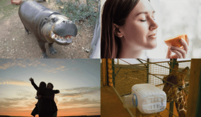 Su Aygırı Doğum Günü Partileri, Tombul Yanaklı Dinozorlar ve Solunum Cihazı Olan Bir Zürafa: 2025’in En Sağlıklı Bilim Hikayeleri