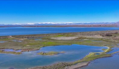 Diyarbakır’da kar eridi, baraj gölü doldu