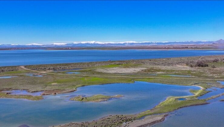Diyarbakır’da kar eridi, baraj gölü doldu