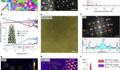 CoNiV bazlı alaşımlarda kriyojenik özellikler için çift ölçekli kimyasal sıralama