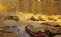 Bitlis’te kar yağışı etkili oldu