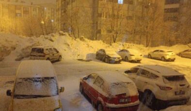 Bitlis’te kar yağışı etkili oldu