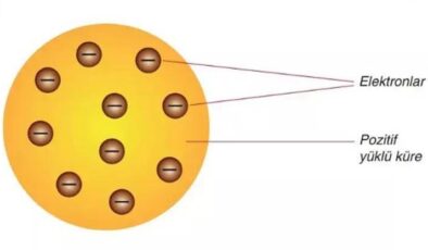 Thomson Atom Modeli Nedir? Özellikleri Nelerdir, Neyi Savunmuştur?