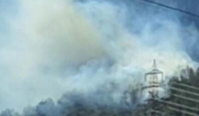 Osmaniye’de orman yangını – Son Dakika Flaş Haberler