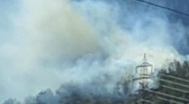 Osmaniye’de orman yangını – Son Dakika Flaş Haberler