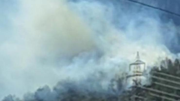 Osmaniye’de orman yangını – Son Dakika Flaş Haberler