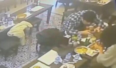 Yer: Taksim… Restoranda akılalmaz olay! Yemekten çıkan böcek adamın dudağını ısırdı – CNN Türk Güncel Haberler
