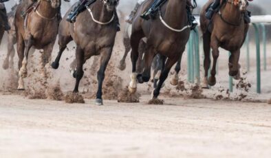 Adana’da sakatlanan yarış atının kesilip, Mersin’de kavurma yapıldığı iddiası – CNN Türk Güncel Haberler