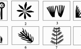 Dünyanın En Eski Botanik Sanatı Dünyanın En Eski Matematiksel Düşüncesini Ortaya Çıkardı