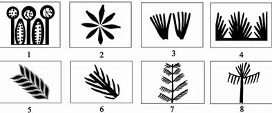 Dünyanın En Eski Botanik Sanatı Dünyanın En Eski Matematiksel Düşüncesini Ortaya Çıkardı