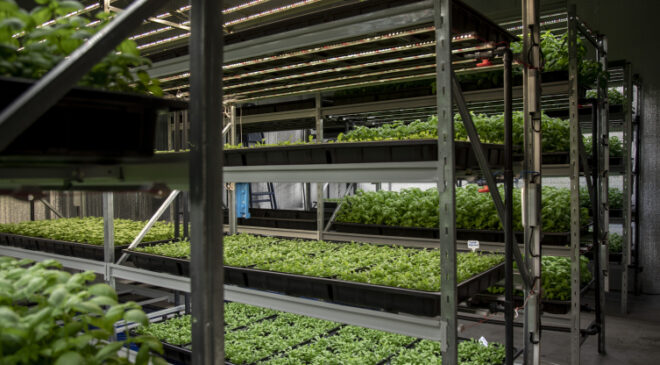 Türkiye’nin her yeri Çukurova olacak