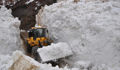 Bitlis’te çığ yolu kapattı, ekipler seferber oldu