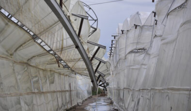 Mersin'de 150 dönüm serayı dolu ve fırtına vurdu