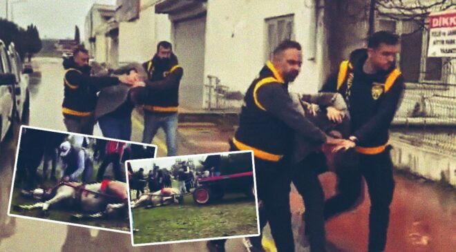 Atlara eziyet eden 2 zanlı bir ay hayvan barınağında çalışacak