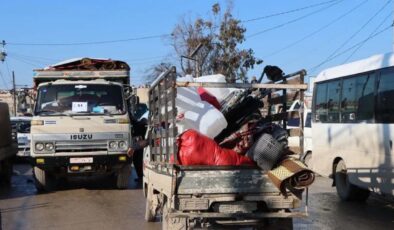 Afrinliler 8 yıl sonra zeytin ağaçlarına kavuştu