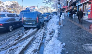 Van merkezinde temizlik ve altyapı sorunu: Kayyum’a çağrı