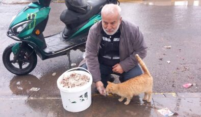 Diyarbakır’da bayram sabahı sokak hayvanlarını unutmanı