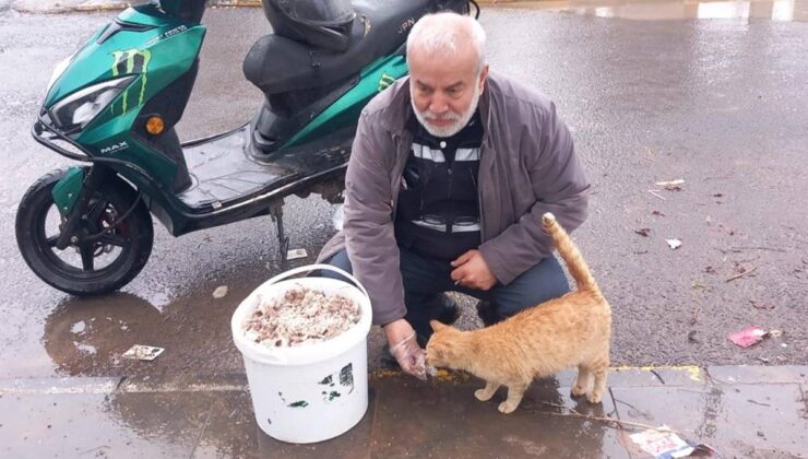 Diyarbakır’da bayram sabahı sokak hayvanlarını unutmanı