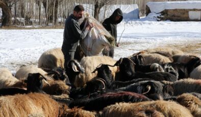 Yerel Kalkınma Hamlesi başvuruları yarın başlıyor