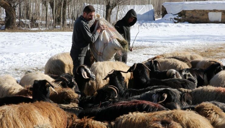 Yerel Kalkınma Hamlesi başvuruları yarın başlıyor