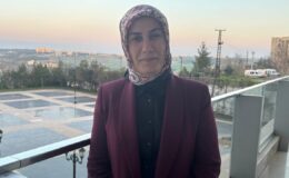 CHP’li Erdoğan’dan anadilde eğitim çıkışı