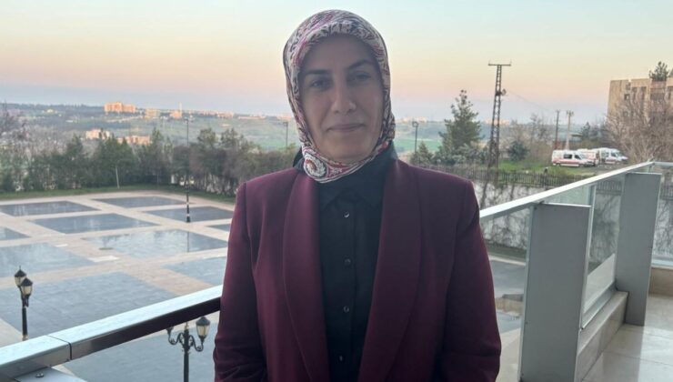 CHP’li Erdoğan’dan anadilde eğitim çıkışı