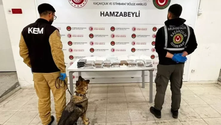 Türkiye’de Uyuşturucu Kaçakçılığı: Esrar ve Metamfetamin Çarpıcı Artış Gösterdi