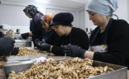 KOSGEB, 53 bin KOBİ’ye destek verecek