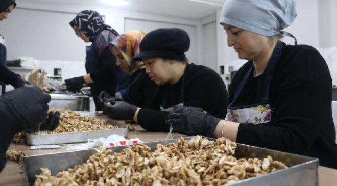 KOSGEB, 53 bin KOBİ’ye destek verecek