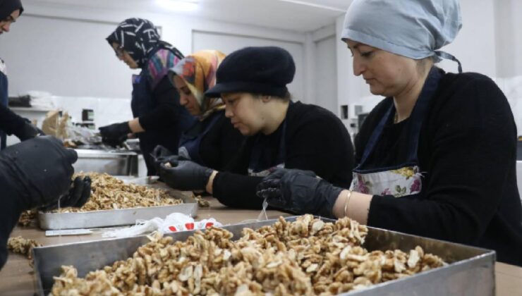 KOSGEB, 53 bin KOBİ’ye destek verecek