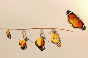 Çocukça Tepkileri Bırakıp Nasıl Olgunlaşırız? - Prof.Dr. Erkan Yüksel - Akademik Akıl