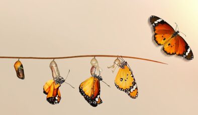 Çocukça Tepkileri Bırakıp Nasıl Olgunlaşırız? – Prof.Dr. Erkan Yüksel – Akademik Akıl