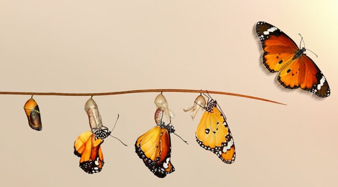 Çocukça Tepkileri Bırakıp Nasıl Olgunlaşırız? – Prof.Dr. Erkan Yüksel – Akademik Akıl