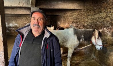 Diyarbakır’da 50 yıldır nalbantlık ve semercilik yapıyorlar