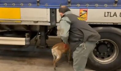 75 ilde narkotik operasyonu: 958 kilo uyuşturucu ele geçirildi