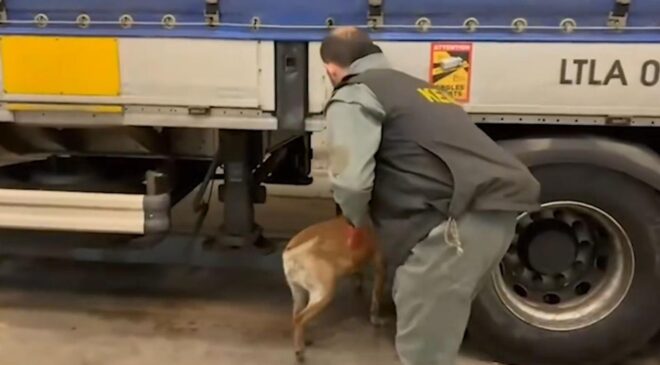 75 ilde narkotik operasyonu: 958 kilo uyuşturucu ele geçirildi