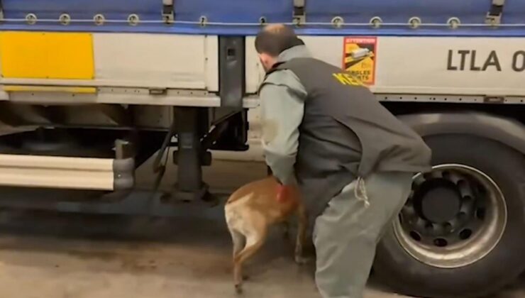 75 ilde narkotik operasyonu: 958 kilo uyuşturucu ele geçirildi