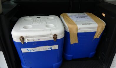 Genç kadının organları 3 kişiye umut oldu