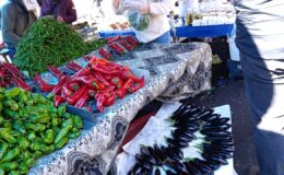 Diyarbakır’da pazarda patlıcan fiyatı 300 TL’ye çıktı